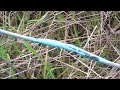 Wind:Telecom:Sirti