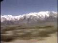 Lone Pine uncut