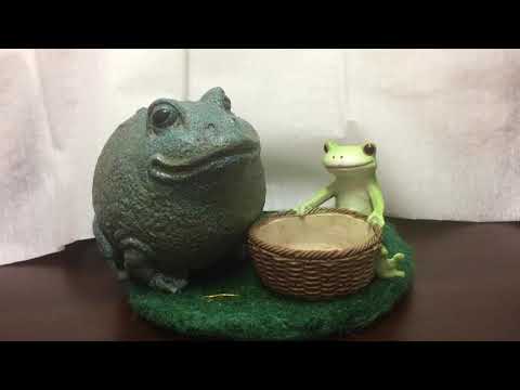 動画