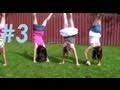 HANDSTANDS