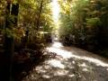 videos de QUAD TEAM(WILD BOAR)