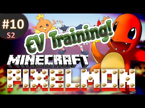 how to decide which stat to ev train