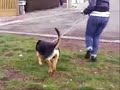 Ivana VS Black ! Ivana VS Black !