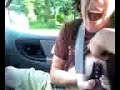 Jumper Cables on Nipples