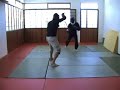 free stick fighting