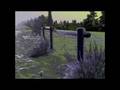 Marie Cherrier Le Temps Des Noyaux Official Music Video and Lyrics