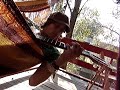 brutal-bertil-fox-benchpress.html
