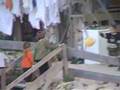 Settler children in Tel Rumeida (occupied Palestine) part 4