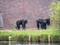 Chester Zoo Part 3