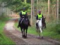 Endurance GB Cheshire Group - Delamere Forest 2006