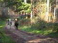Endurance GB Cheshire Group - Delamere Forest 2006