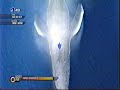 Sonic Unleashed: Holoska \"Cool Edge\" Day (Act 1) S-Rank (Xbox 360) Sonic Unleashed: Holoska \"Cool Edge\" Day (Act 1) S-Rank (Xbox 360)