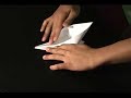 Origami Crane Origami Crane