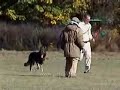 Schutzhund 2006 WKG Regional SchH3 Champion Schutzhund 2006 WKG Regional SchH3 Champion