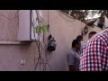 View Video
