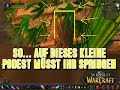 Best WoW glitch ever!!! through and behind Zulīgurub Best WoW glitch ever!!! through and behind Zulīgurub