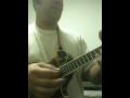 Stratton mandolin wild horses