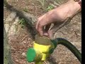 Invisible Gardener Gone Wild 10 Natural tree care Invisible Gardener Gone Wild 10 Natural tree care