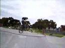 biggsy flip manual