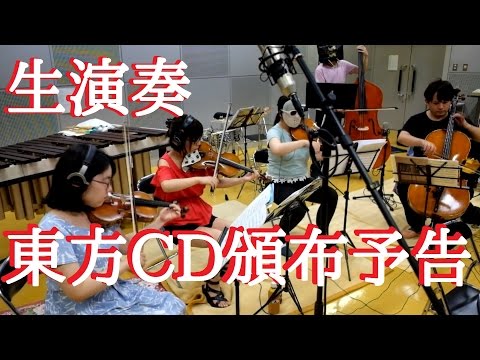 動画
