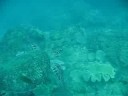Ningaloo Dive holiday