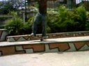 CaiO Sk8TeR - Manual - 422sb