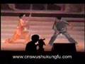 Wushu & Kung-Fu