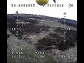 Click here to watch this video Cruisin the Forrest