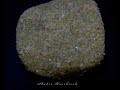 WEED