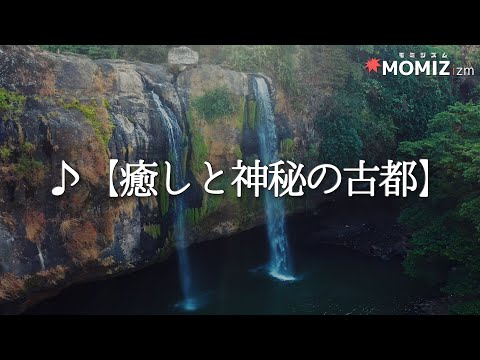 動画