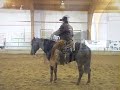 Cowboy Mounted Shooting and Cutting Horse Demos Cowboy Mounted Shooting and Cutting Horse Demos
