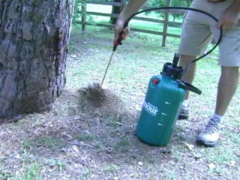 how to eliminate fire ants