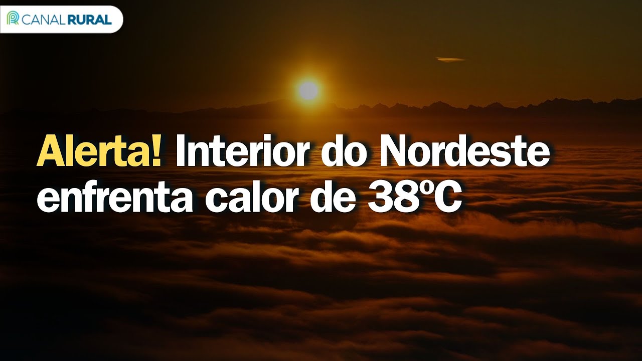 Alerta! Interior do Nordeste enfrenta calor de 38ºC | Previsão do tempo | 24h