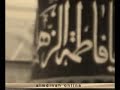 السيد هاني الوداعي