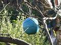 videos de Blue outside on a nice mid autumn day
