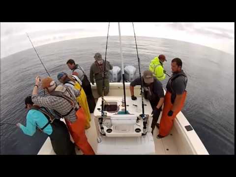 rampage tuna fishing westport washington rampage tuna fishing westport washington
