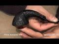 pipa Frank Axmacher 016 - tobacco pipe