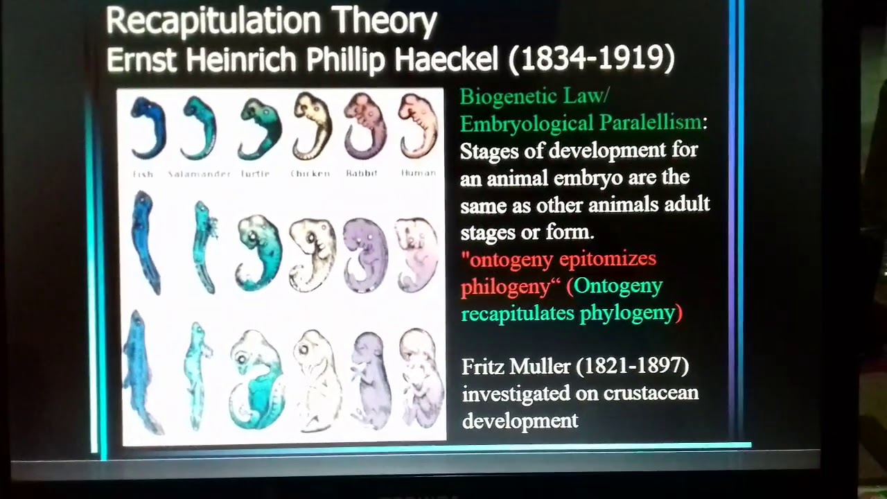 Principles of Animal Development part 1