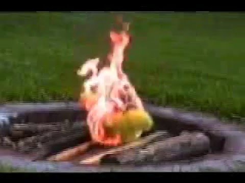A VERY POLYBIUS SUMMER VIDEO