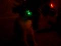 videos de Kitty + Christmas tree