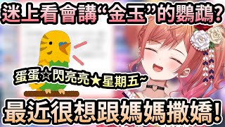 最近很想跟媽媽撒嬌!莉莉華最近迷上看會講"蛋蛋☆閃亮亮"鸚鵡的影片?你是小學生嗎?【一条莉々華/一条莉莉華|Ririka|hololive DEV_IS ReGLOSS】【hololive 中文翻譯】 最近很想跟媽媽撒嬌!莉莉華最近迷上看會講"蛋蛋☆閃亮亮"鸚鵡的影片?你是小學生嗎?【一条莉々華/一条莉莉華|Ririka|hololive DEV_IS ReGLOSS】【hololive 中文翻譯】