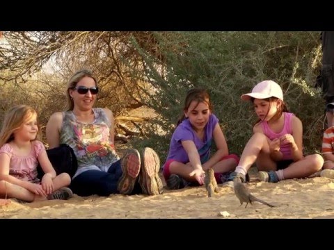 למה לעזור? סיפורם של זנבנים