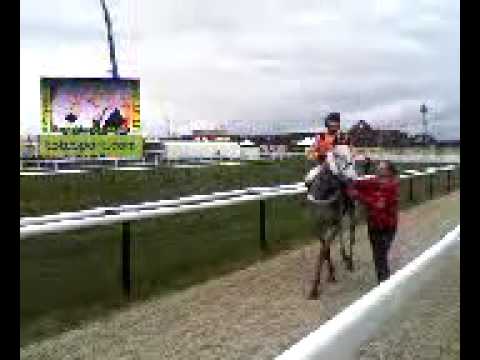 cheltenham race
