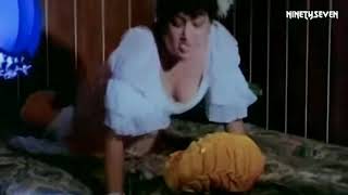 Hemamalini fast time nip slip