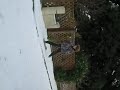 006,nikonrobin,