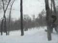Mysty Mountain 2007