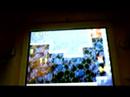 NSMB World 2-4 Star Coins/1Up Trick NSMB World 2-4 Star Coins/1Up Trick