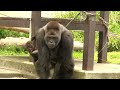 動物園