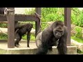 動物園