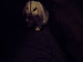 midnight grooming midnight grooming
